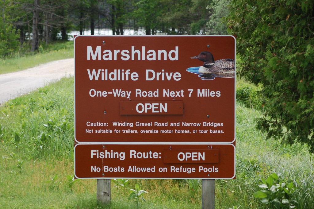 Seney National Wildlife Refuge MI Marshland Wildlife Drive