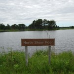 Seney National Wildlife Refuge North Show Pool