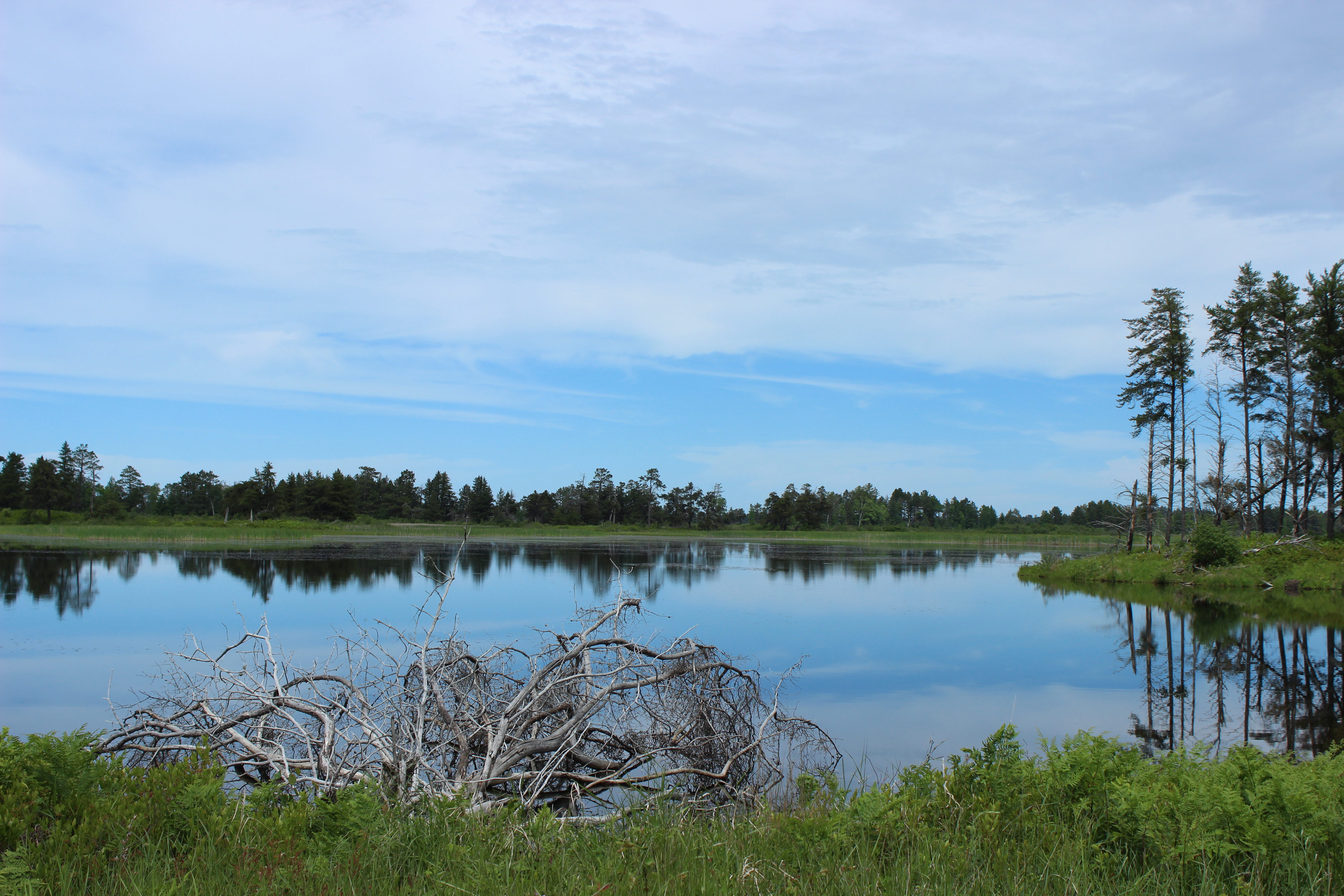Seney National Wildlife Refuge Reflections Marshland Drive