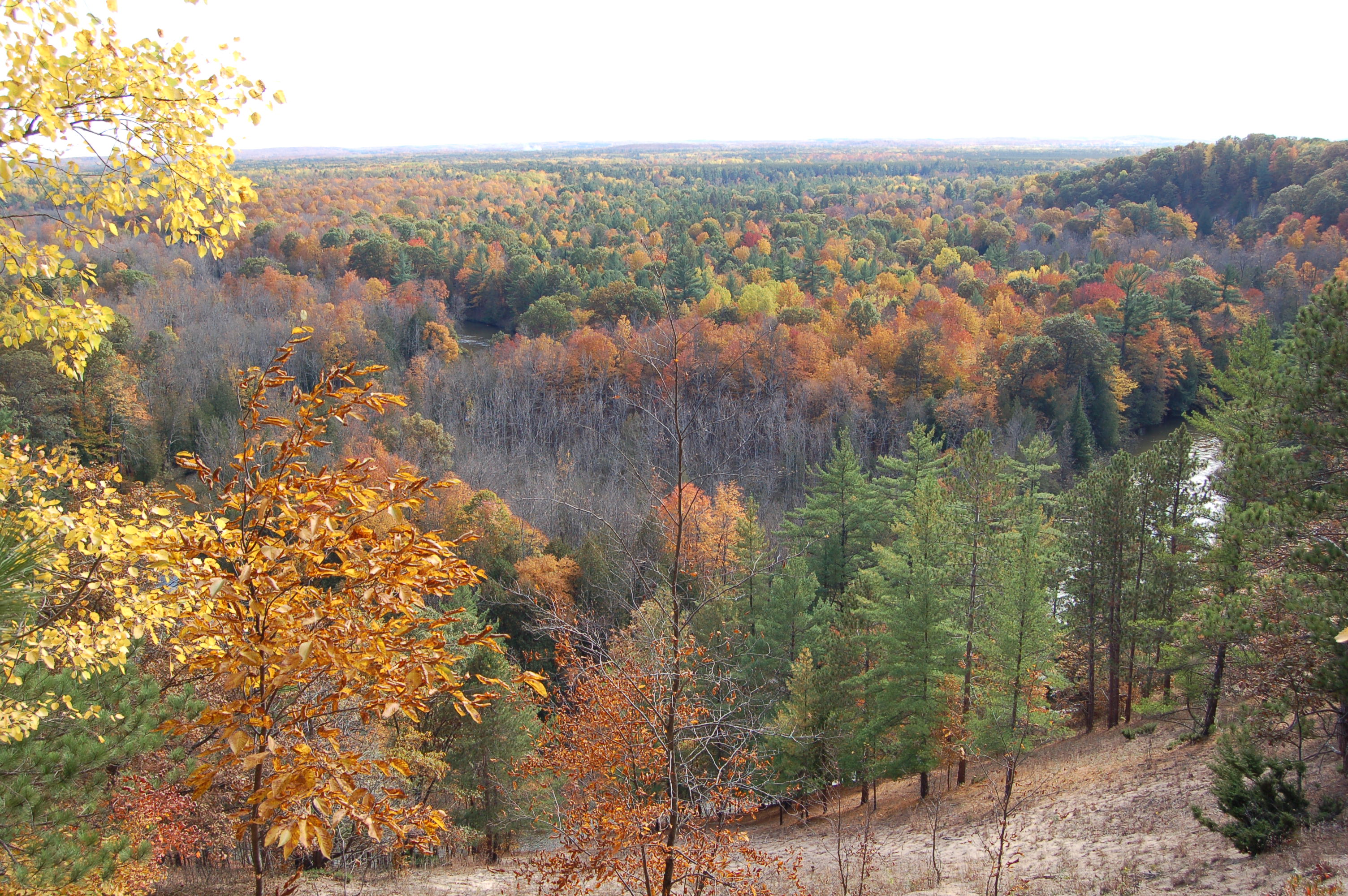 Highbanks Rollaway Michigan Fall Color