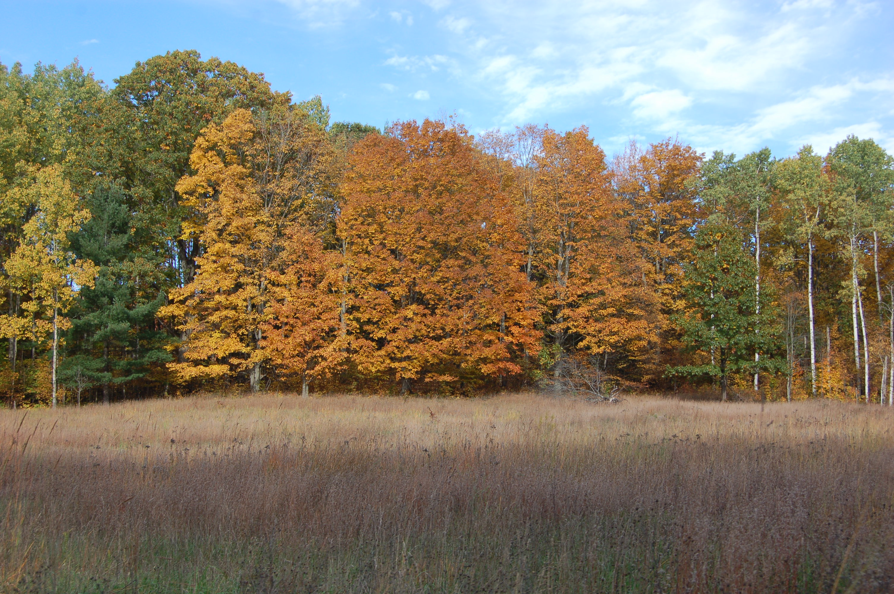 Michigan Fall Color Scenic Drive Buckley