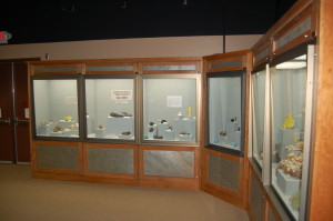 AE SEaman Mineral Museum Douglass Houghton Collection