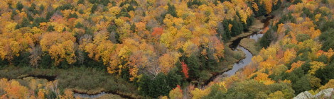 Does Michigan's Upper Peninsula Have the Best Fall Color in the Country?