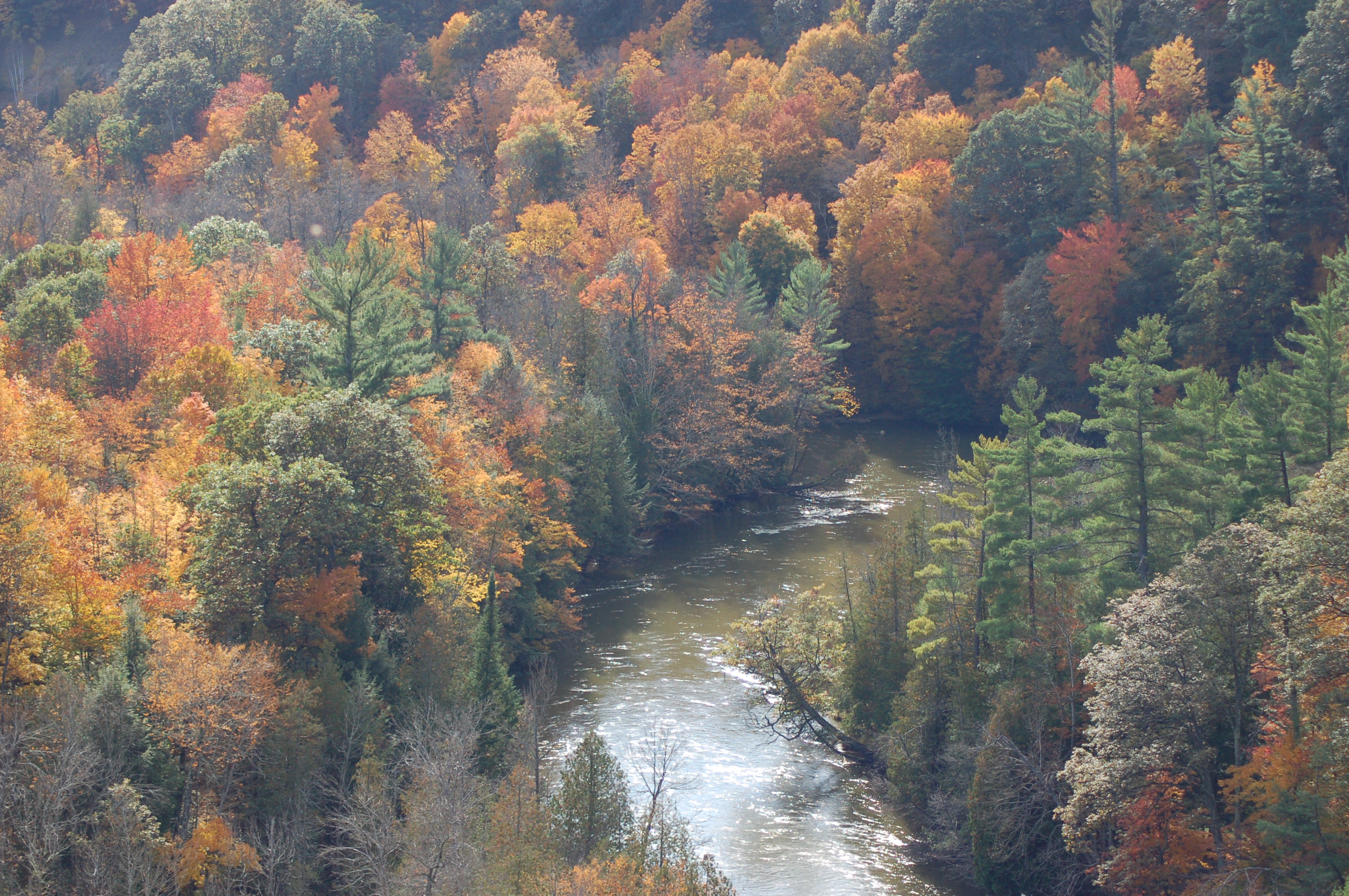 Fall Color Manistee River Michigan