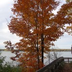 Fall Color Michigan Mesick Rest Area