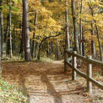 Fall Color North Country Trail Michigan