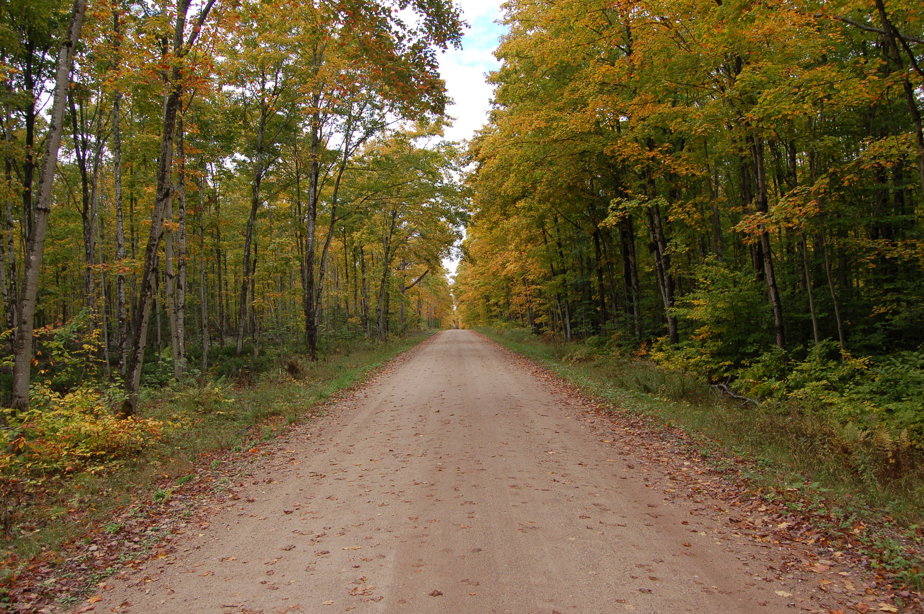 Fall Color Pictured Rocks Back Roads