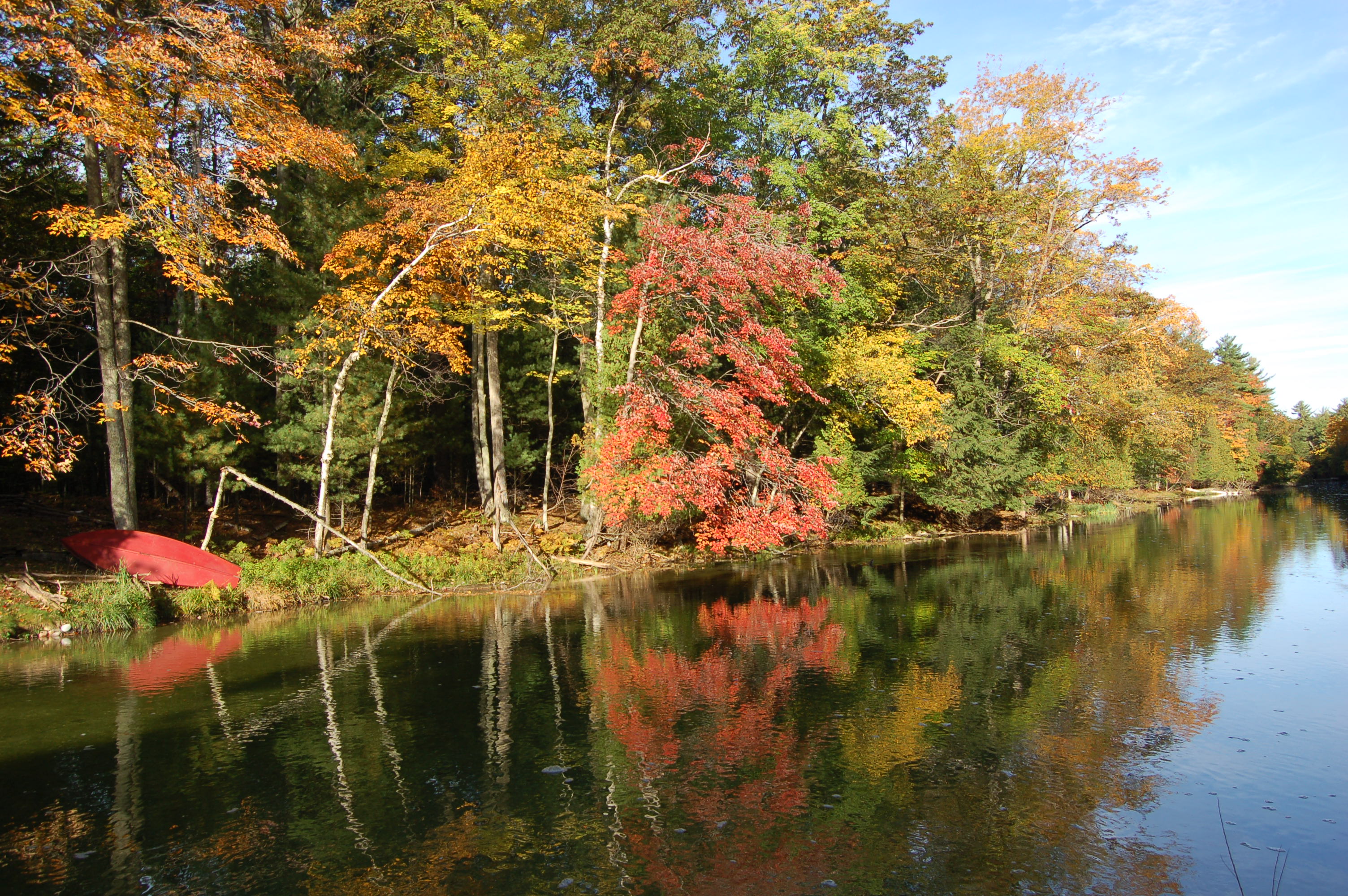 Fall Color Platte River Michigan
