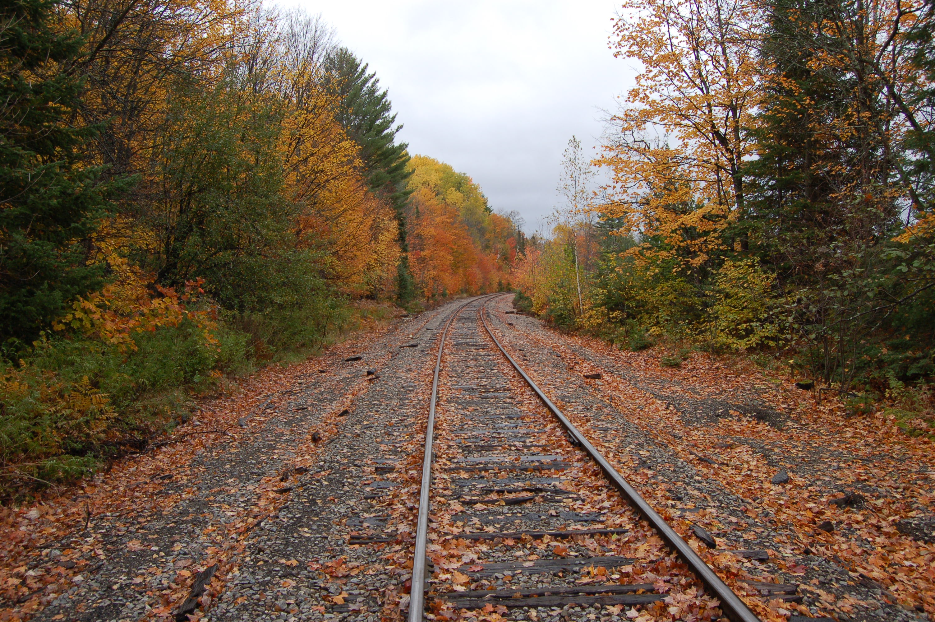 Fall Color Railroad Tracks Michigamme