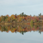 Fall Color Reflection Loon Lake MI