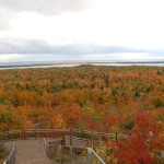 Fall Color Thomas Rock Overlook Lake Superior