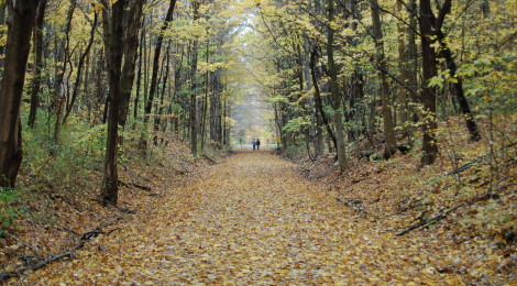 Michigan Trail Tuesday: Kal-Haven Trail State Park