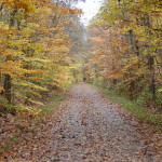 Kal Haven Trail MI Fall Color 2
