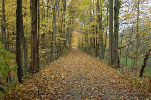Kal Haven Trail Michigan Fall Color