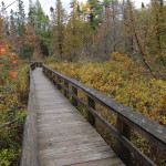 Pictured Rocks Marsh Trail Fall 2016