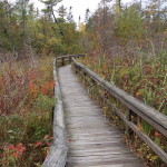 Michigan Trail Tuesday: Sand Point Marsh Trail, Pictured Rocks National Lakeshore