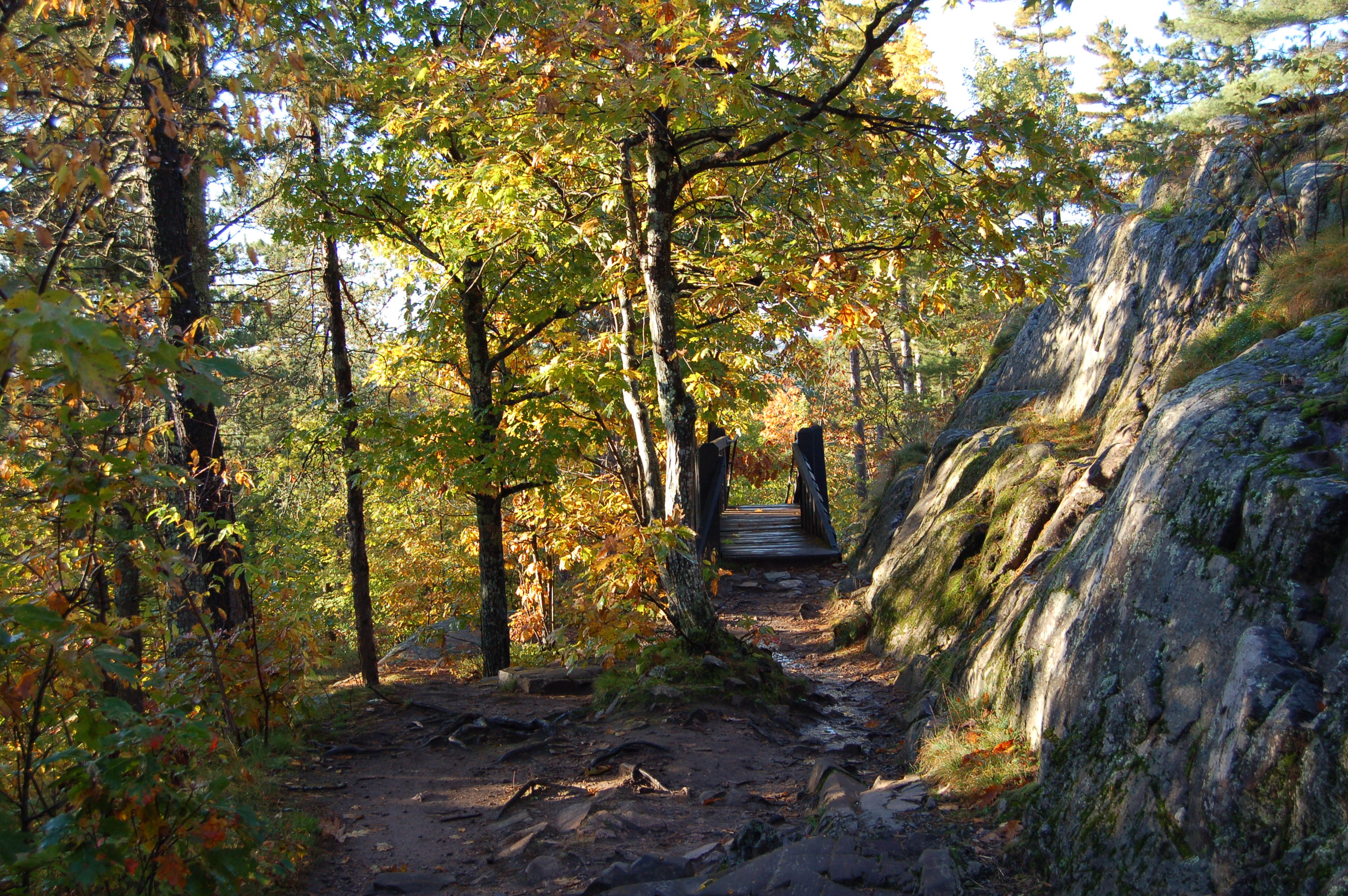 Sugarloaf Mountain Fall Color Trail