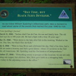 Union Mine Trail Porcupine Mountains Black Flies