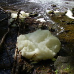 Laughing Whitefish Falls River Foam Michigan