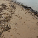 40 Mile Point Lighthouse Shipwreck Close Up