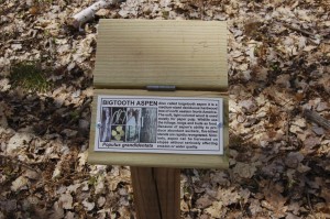Thomas Rock Overlook Tree Information Sign