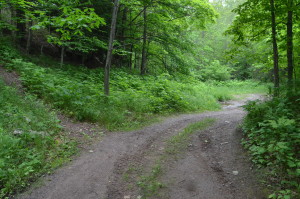 Slate River Falls Trail Path Road
