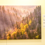 "Spring in the Smoky Mountains" by Michelle Leale, at Women's City Club