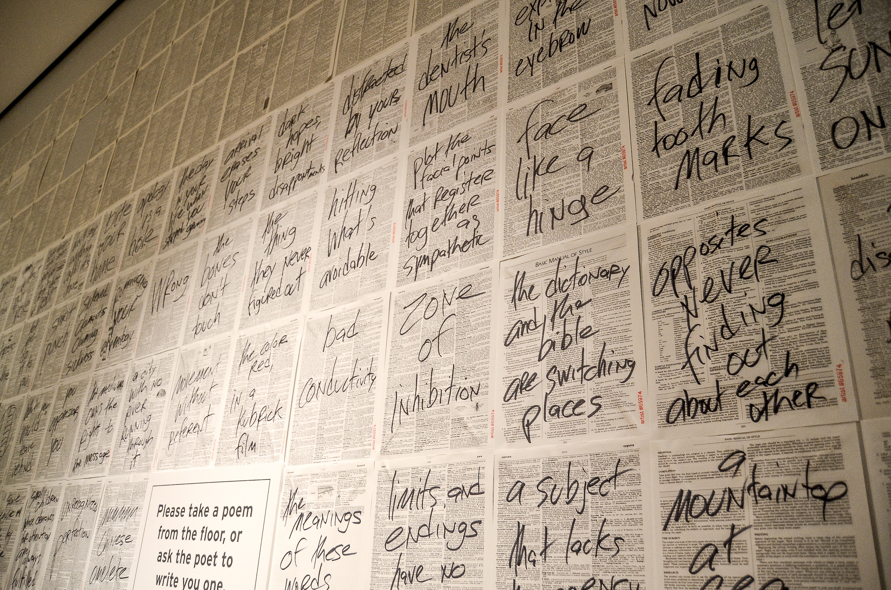 "The Language is Asleep" by Chris Vitiello, at Grand Rapids Art Museum