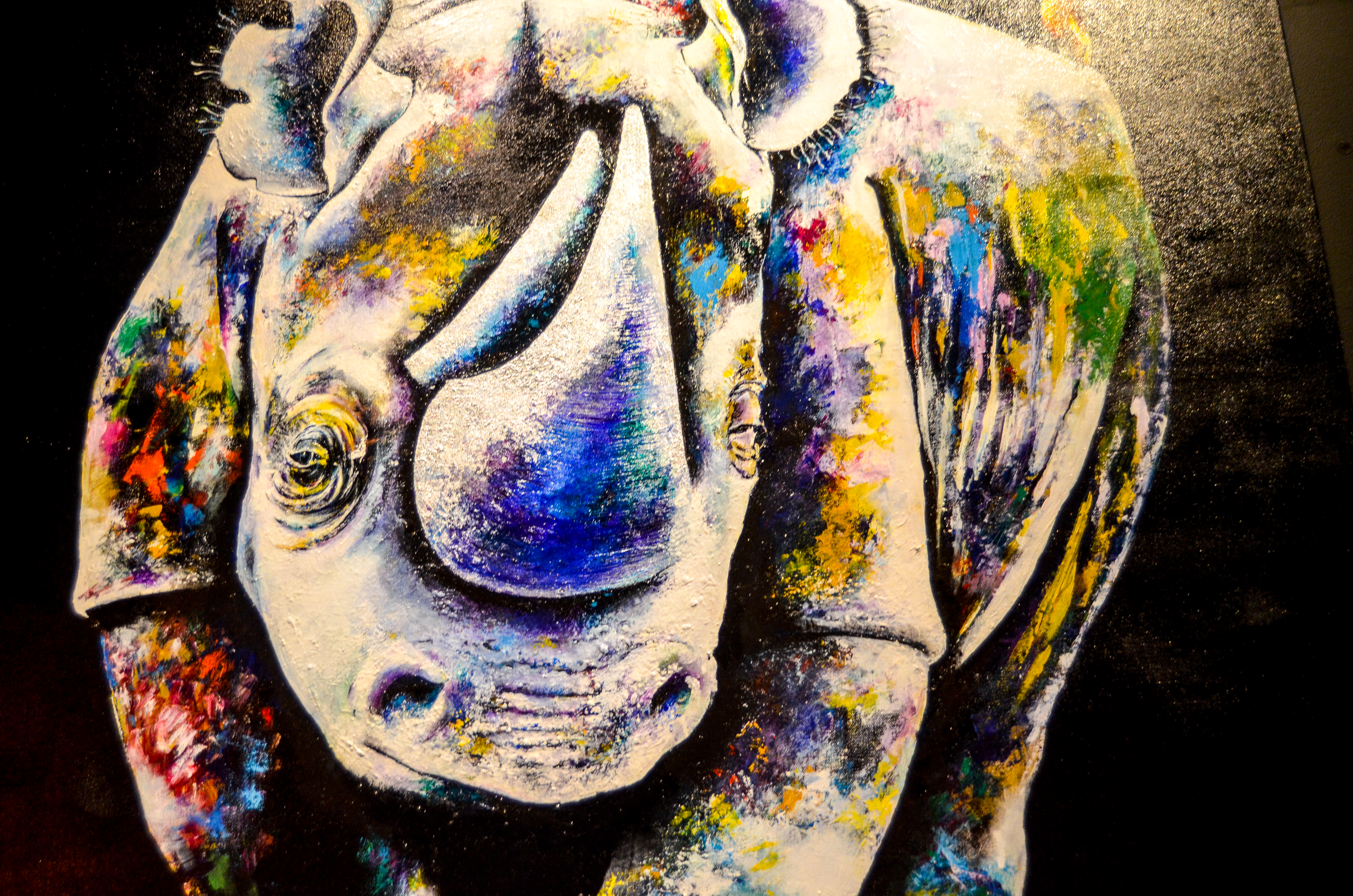 "Rhino" by Bountom Vongkaysone, inside the B.O.B.