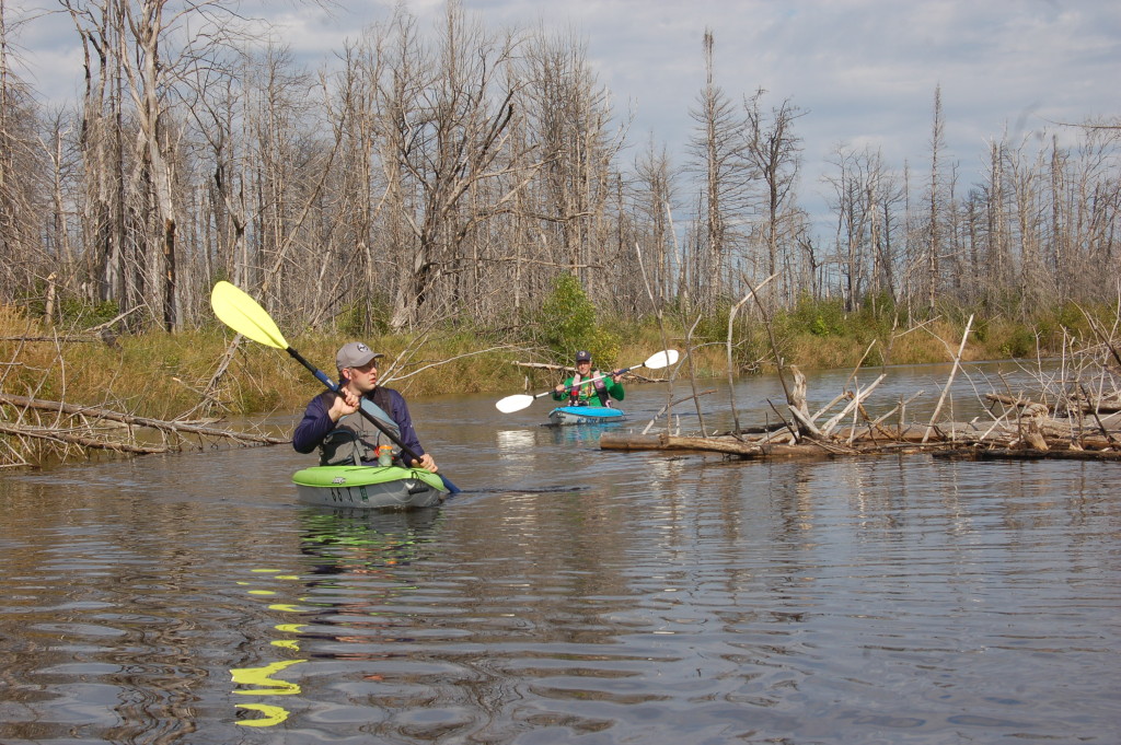 Two Hearted River Kayak Family Paddle