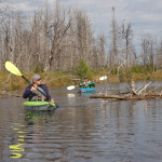 Two Hearted River Kayak Family Paddle