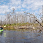 Two Hearted River Kayak Michigan