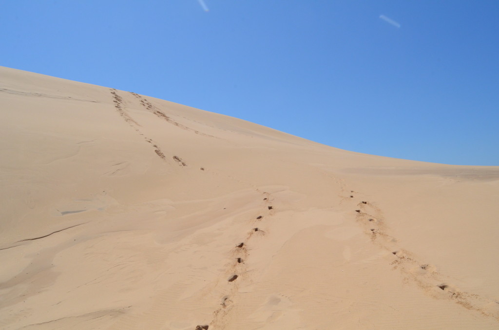 Silver Lake State Park Sand Dunes Footprints Michigan