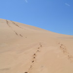 Silver Lake State Park Sand Dunes Footprints Michigan