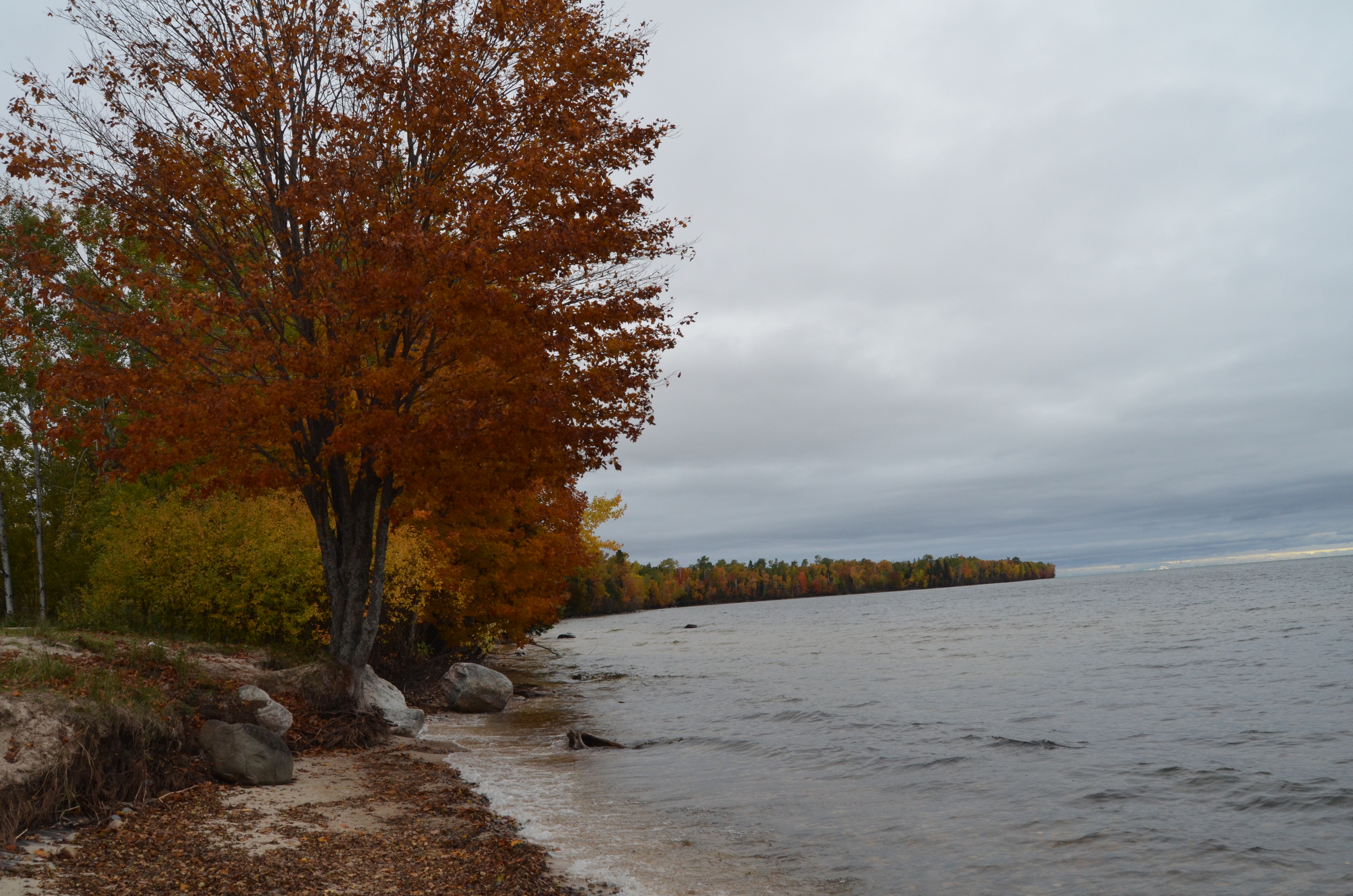 Fall Color Whitefish Bay Scenic Byway Lake Superior Maple