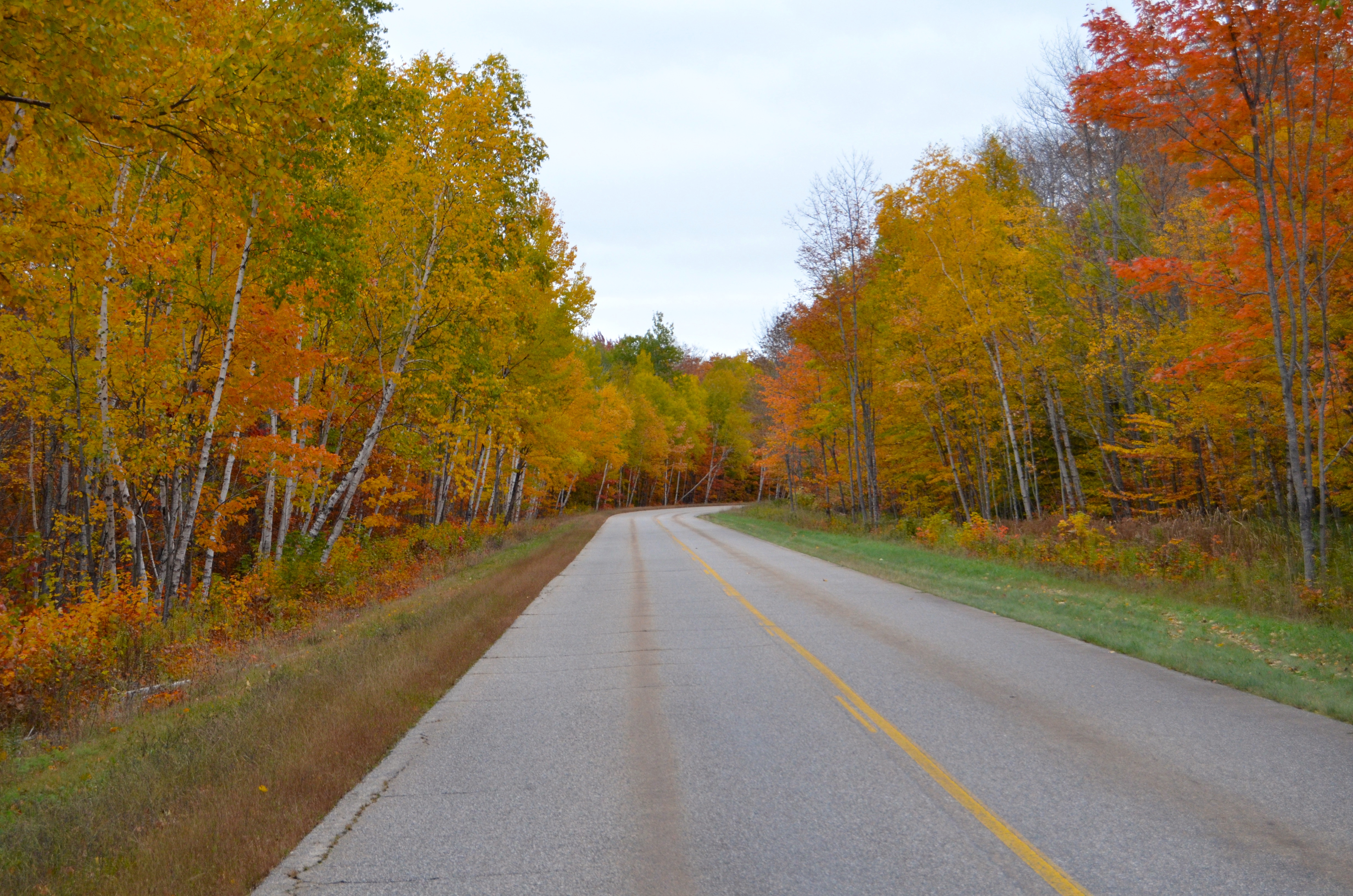 Fall Color Whitefish Bay Scenic Byway Michigan