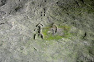 Sanilac Petroglyphs Michigan