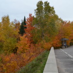 Whitefish Bay Scenic Byway Fall Color Naomikong