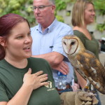 Barn Owl during Rock, Roar & Pour at John Ball Zoo