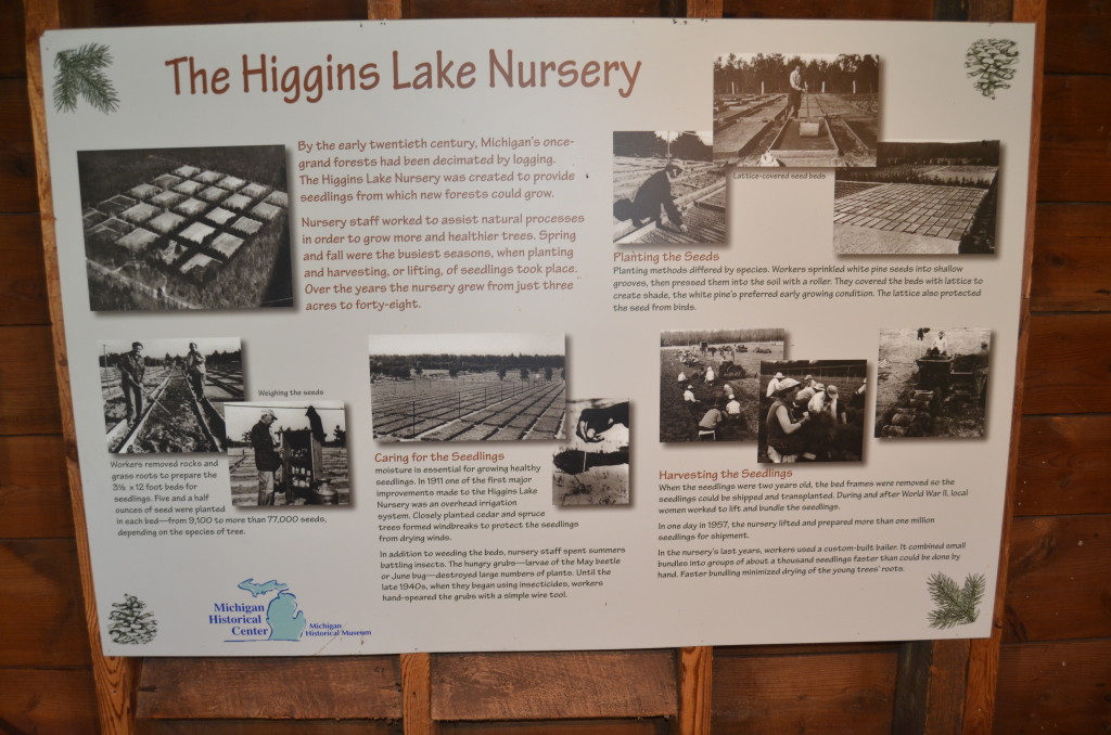 Michigan Civilian Conservation Corps Higgins Lake Nursery