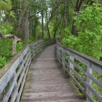 Bay City State Park Hiking Trail Boardwalk Michigan