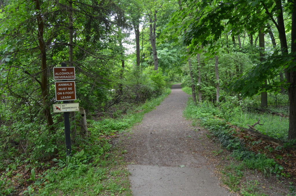 Bay City State Park Michigan Woodland Hiking Trail