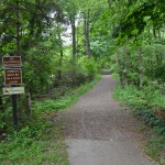Bay City State Park Michigan Woodland Hiking Trail