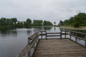 Bay City State Recreation Area Fishing Pond Deck Michigan