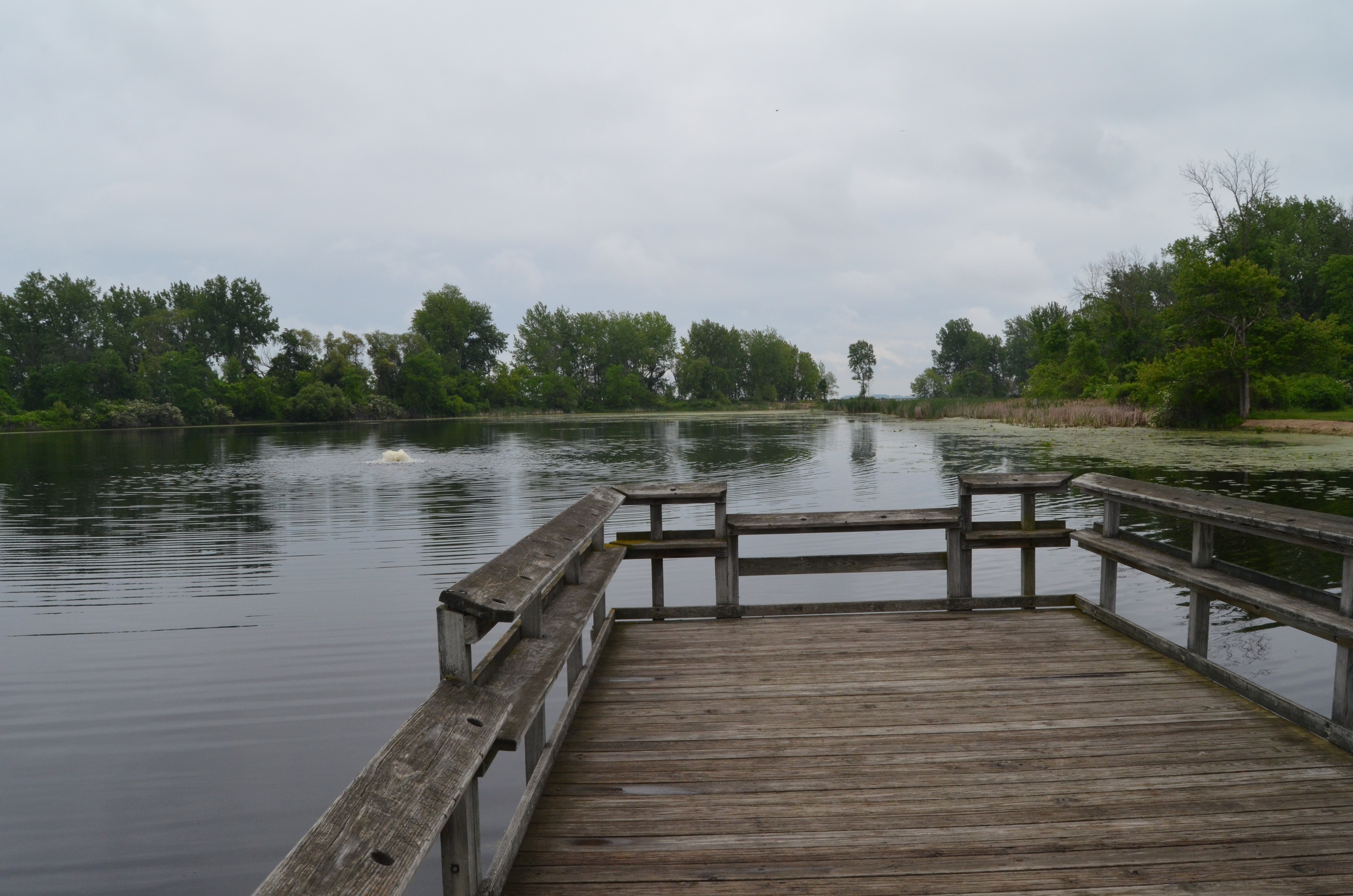 Bay City State Recreation Area Fishing Pond Deck Michigan