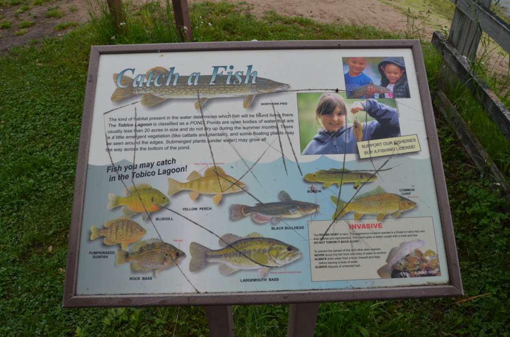 Bay City State Recreation Area Fishing Species Michigan