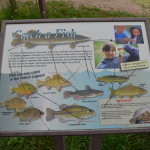 Bay City State Recreation Area Fishing Species Michigan