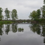 Bay City State Recreation Area Pond Reflection Michigan