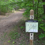 Hartwick Pines State Park Trail Map