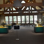 Hartwick Pines State Park Visitor Center Forests